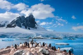 小朋友几岁可以去南极旅游 南极旅游身体要求