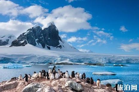 小朋友几岁可以去南极旅游 南极旅游身体要求