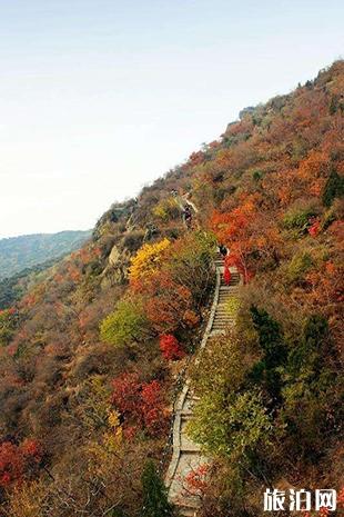 北京看红叶香山公园游玩攻略