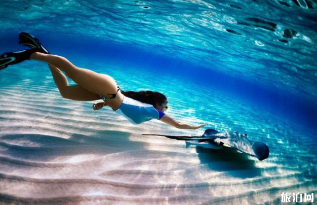 马尔代夫浮潜怎么使用水下相机 浮潜用什么水下相机