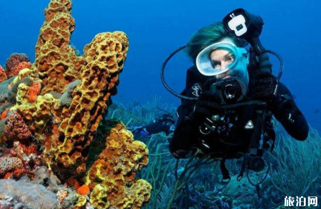 马尔代夫浮潜怎么使用水下相机 浮潜用什么水下相机