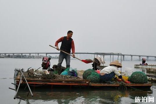 湛江免费景点大全