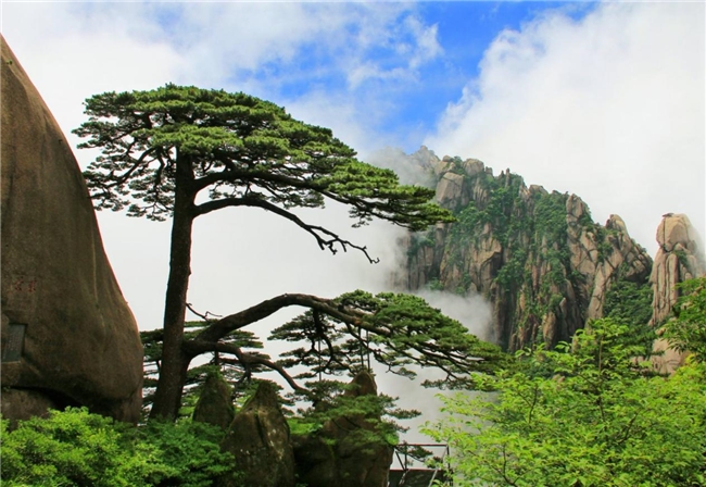 对搬砖喊Cut，来黄山Keep一下 黄山旅修 一场与云海松涛共生的重启计划